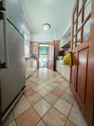 Cactus Green (D28), Semi-Detached #566182731